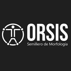 Logo SemilleroORSIS