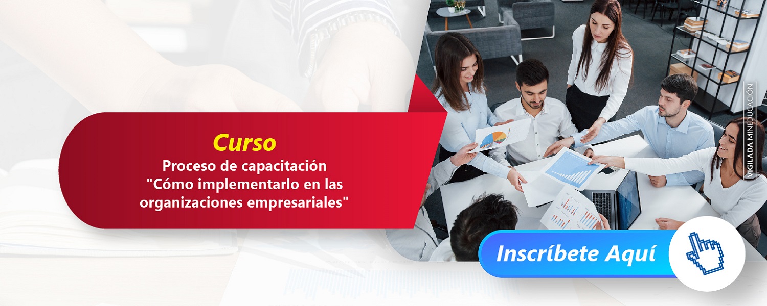 ProcesoCapacitacionComoImplementarloOrganizacionesEmpresariales SurPresencial B