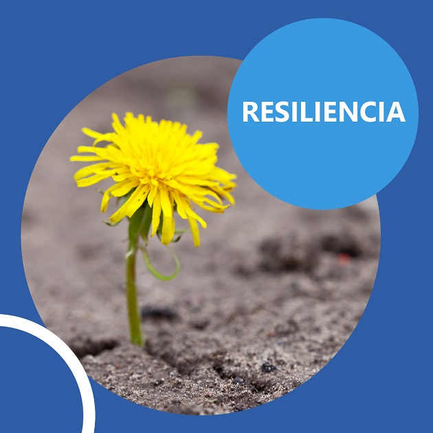 Resiliencia