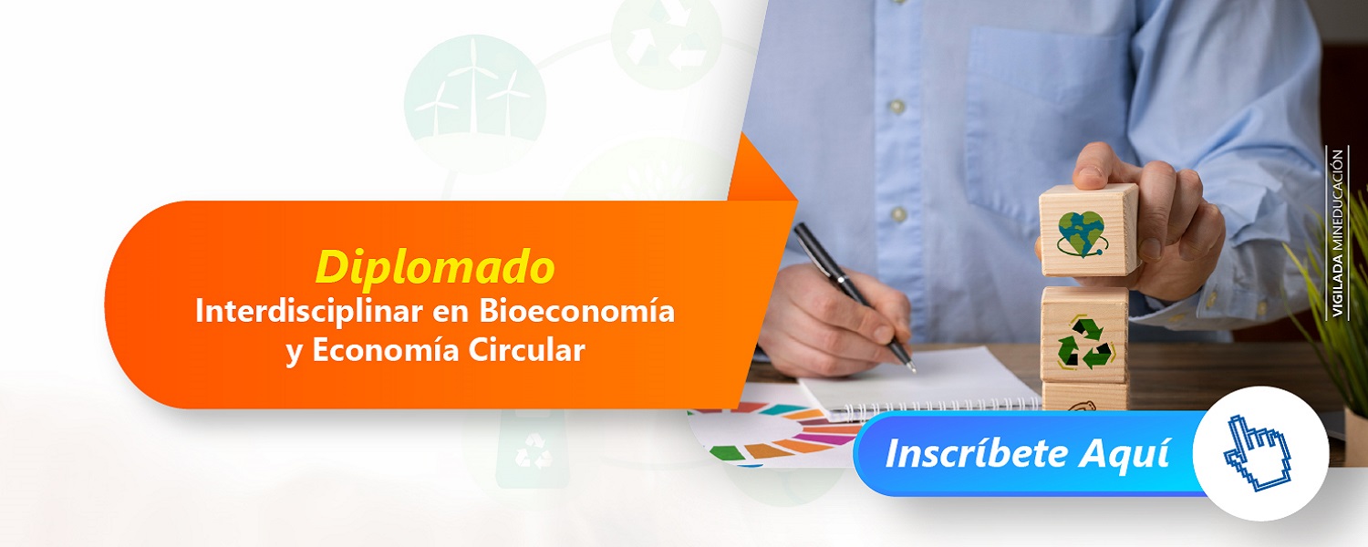 DiplomadoBioeconomiaEconomiaCircular FedermanSurVirtual B