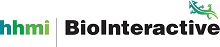 LogoBiointeractive