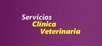 ClinicaVeterinaria