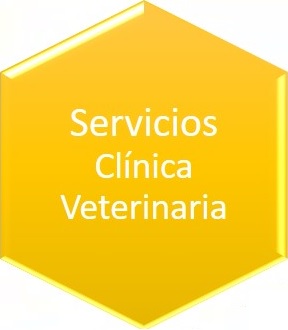 ClinicaVeterinaria