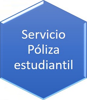 PolizaEstudiantil