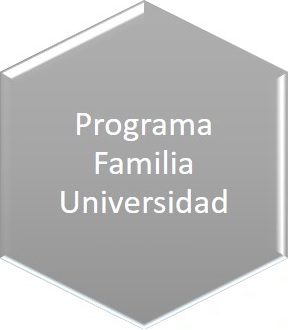 ProgramaFamiliaUniversidad