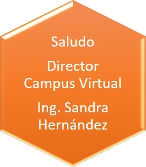 SaludoDirectorCampusVirtuak
