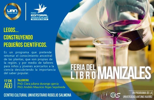 LegosManizales4