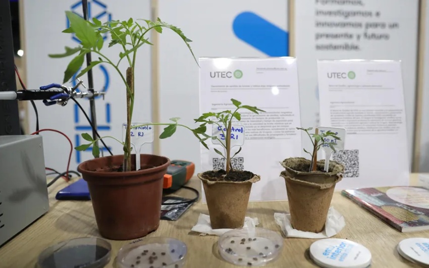 Hernando Jiménez, investigador vinculado a la UAN, participa en tecnología pionera que acelera la germinación de semillas