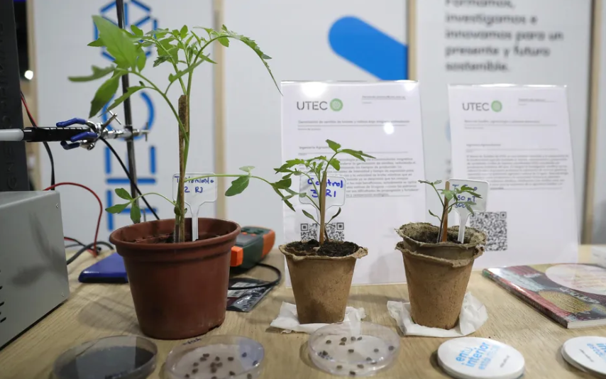 hernando jimenez investigador vinculado a la uan participa en tecnologia pionera que acelera la germinacion de semillas
