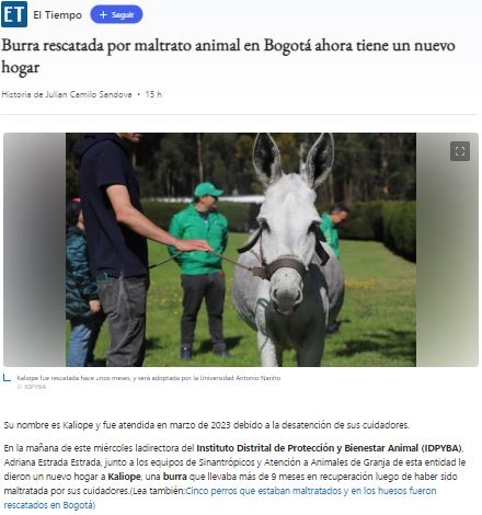 BurraRescatadaMaltratoAnimalBogota