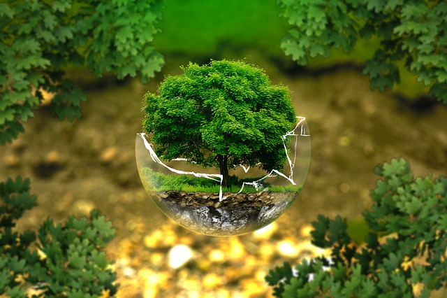 DerechoAmbiental