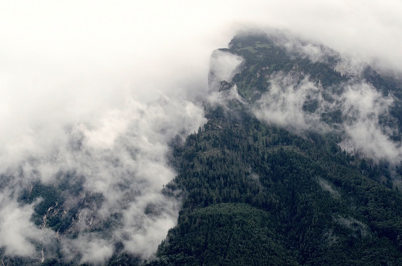 roland batke mutschler SmhN4FejPFs unsplash