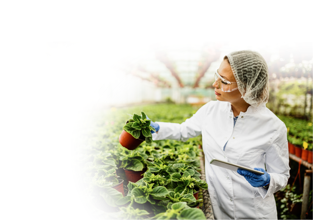 Doctorado en Ciencias Naturales y Exactas