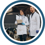 Calidad académica e investigativa