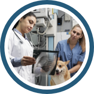 Impacto de sus egresados