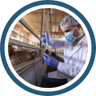 Experiencia internacional