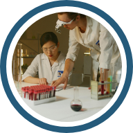 Impacto en la comunidad