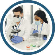 Calidad académica e investigativa