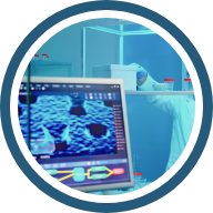 Impacto en la comunidad