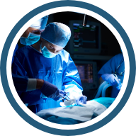 Calidad académica e investigativa