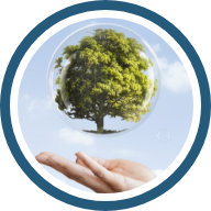 Acreditación de alta calidad