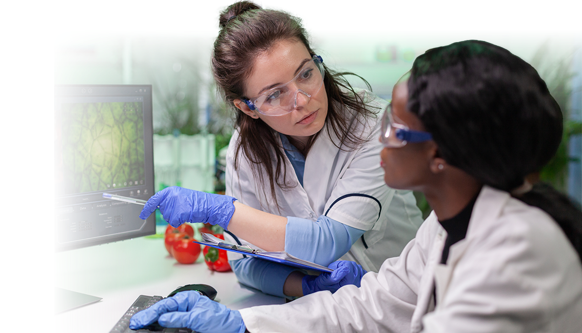 Maestría en Ingeniería de Bioprocesos Maestría en Ingeniería de Bioprocesos