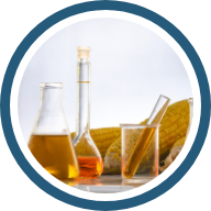 Experiencia internacional