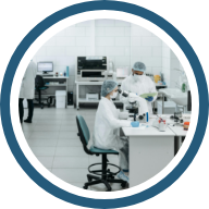 Calidad académica e investigativa