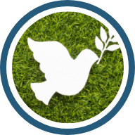 Impacto en la comunidad