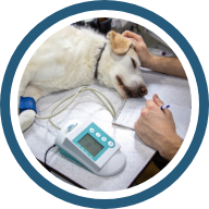 Impacto de sus egresados