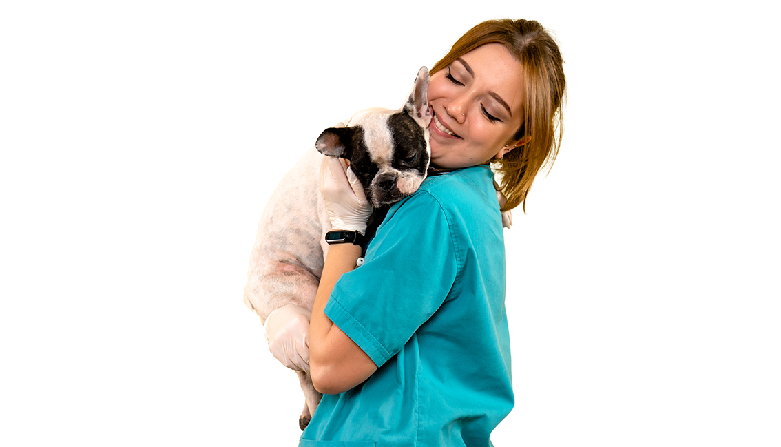 Medicina Veterinaria Medicina Veterinaria