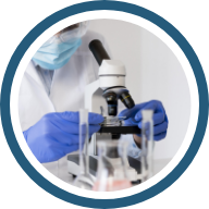 Calidad académica e investigativa