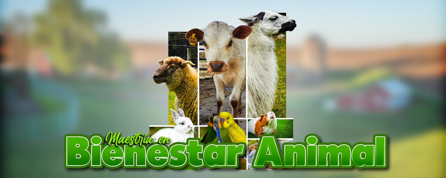 MaestriaBienestarAnimal B