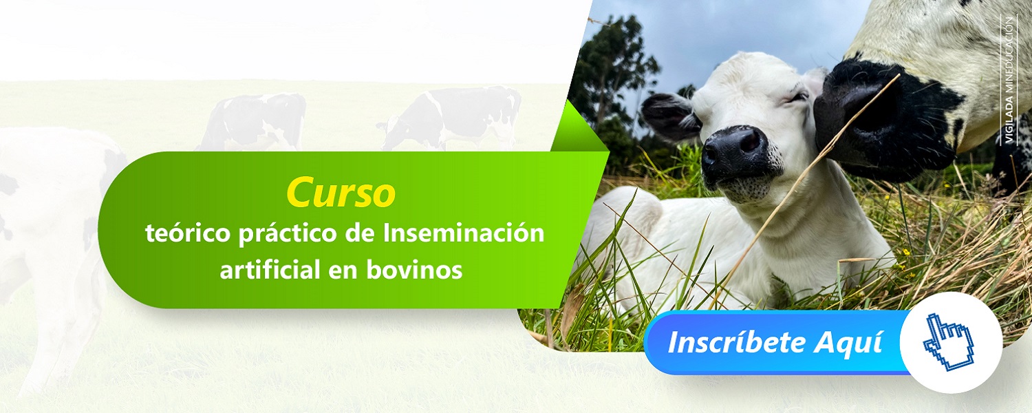CursoInseminacionArtificialBovinos UsmePresencial2025 B