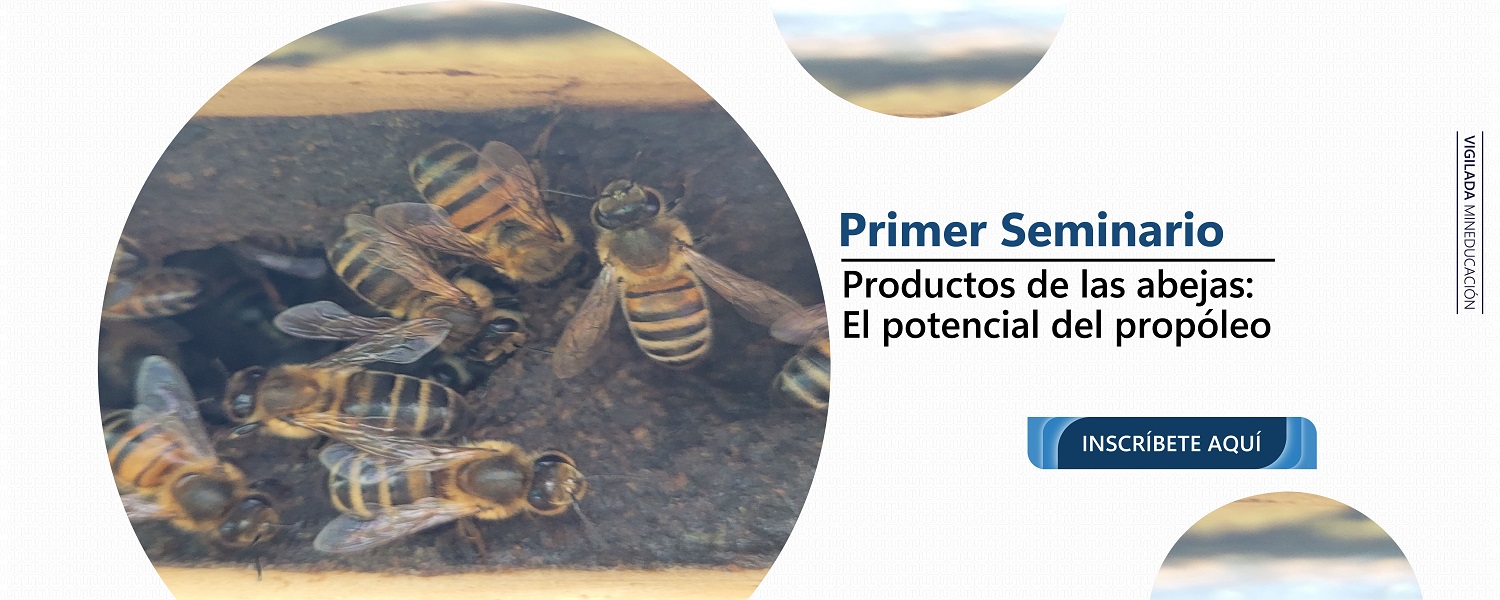 SeminarioProductosAbejasPotencialPropoleo Presencial B