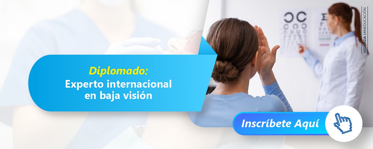 SeminarioExpertoInternacionalBajaVision Semipresencial B