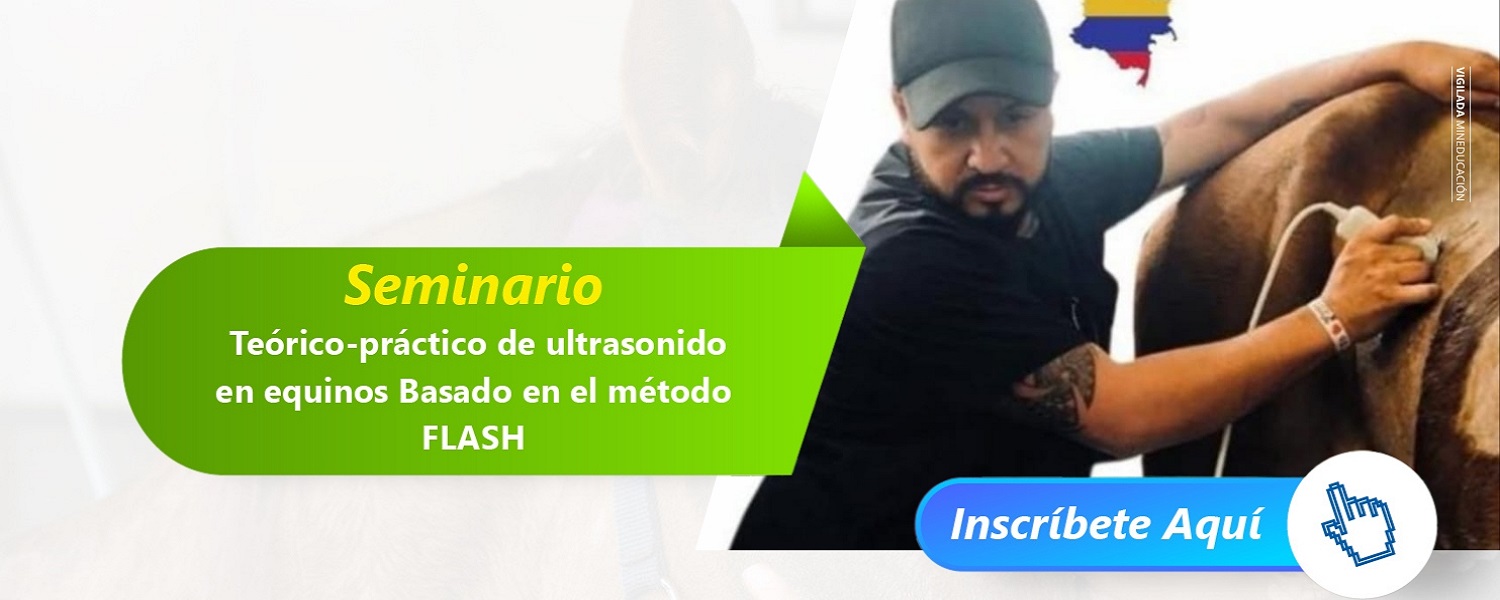 SeminarioUltrasonidoEquinosMetodoFLASH Presencial B