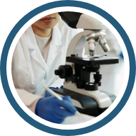 Numerosos proyectos de investigación