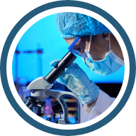 Numerosos proyectos de investigación