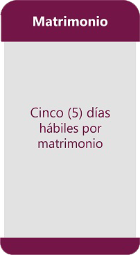 Info5