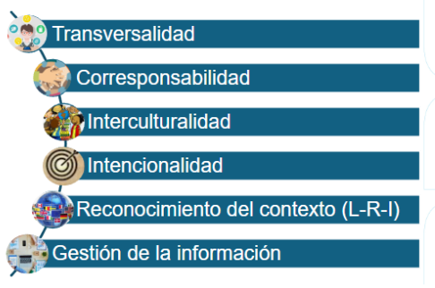 Principios de la Internacionalización UAN